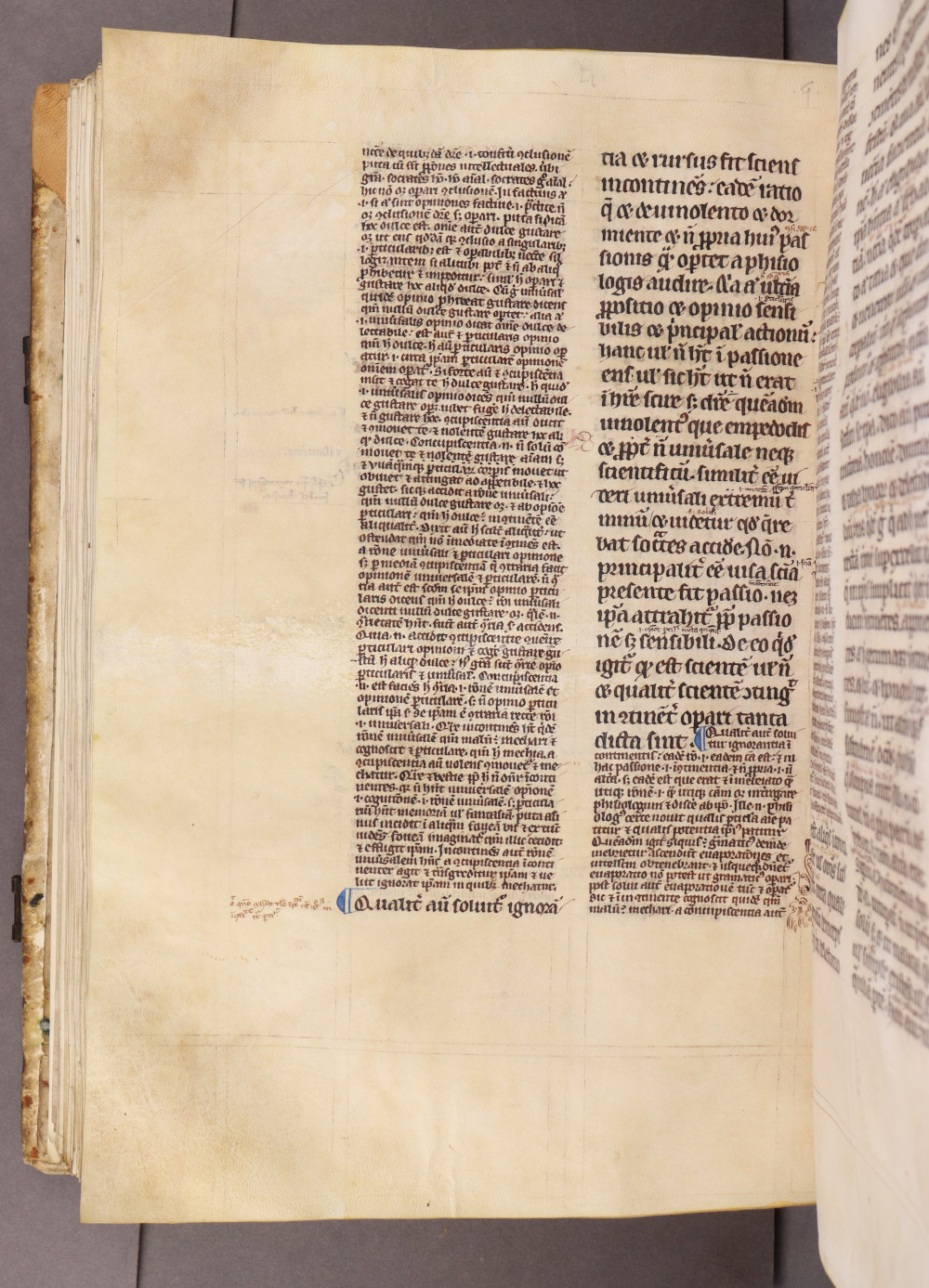 Folio 155 verso